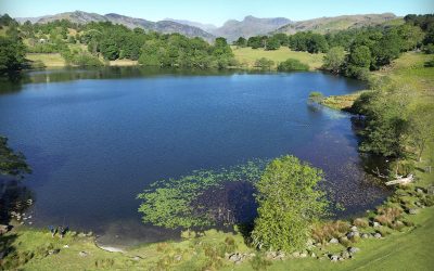 Loughrigg Tarn walk from Skelwith Bridge, via Elterwater, near Windermere in the Lake District