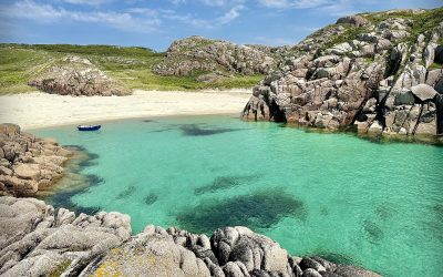 What Went Well today? Your Reticular Activating System