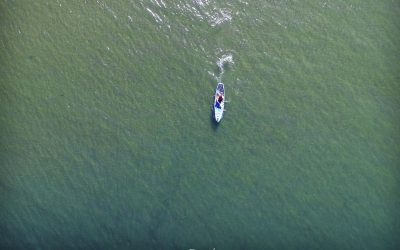 Bluefin Cruise 10’8 Paddle Board Review (v6 2025) – Is This Still the Best All-Round SUP?