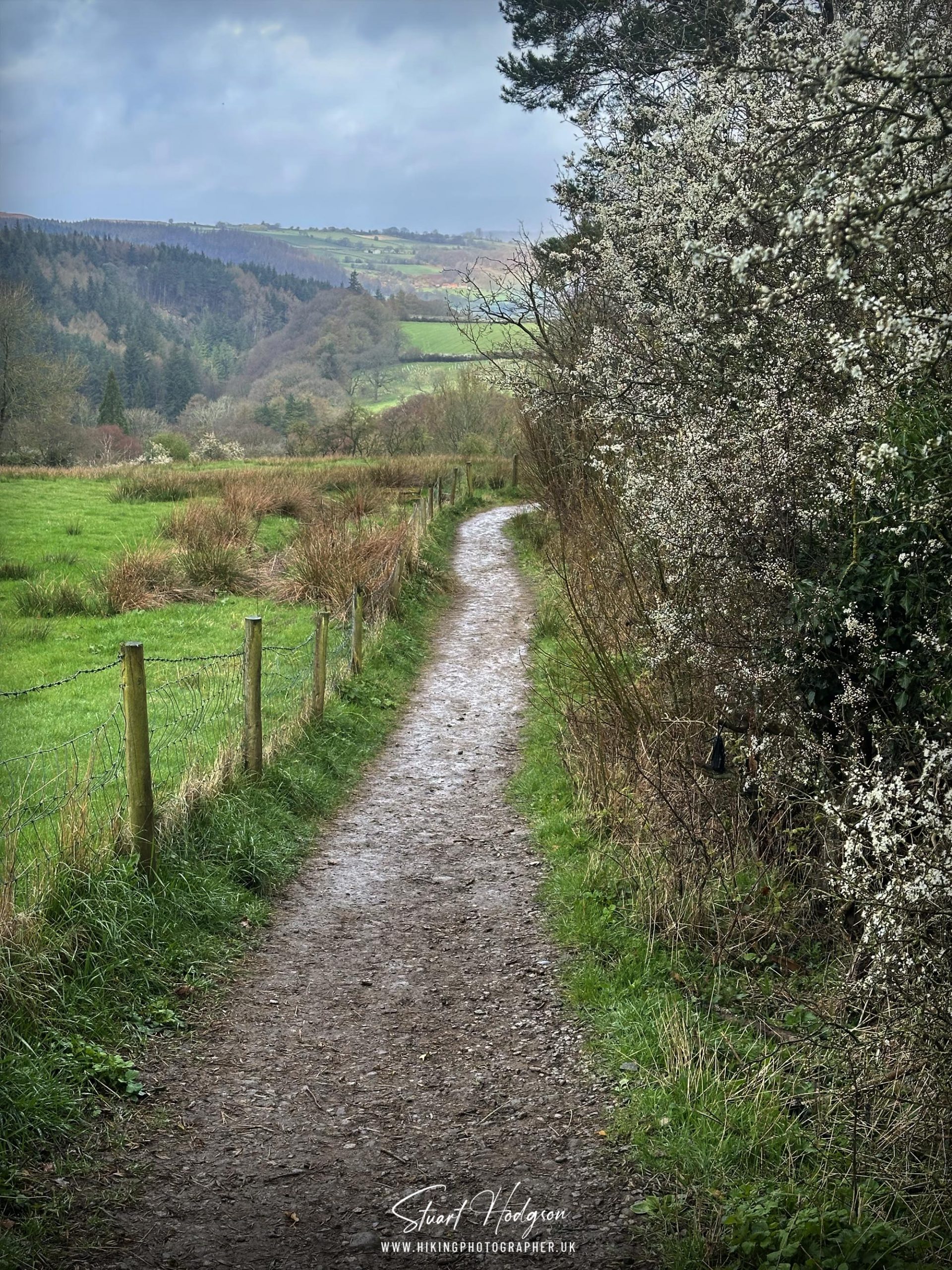 mallyan-spout-walk-route-goathland-yorkshire-walks-1