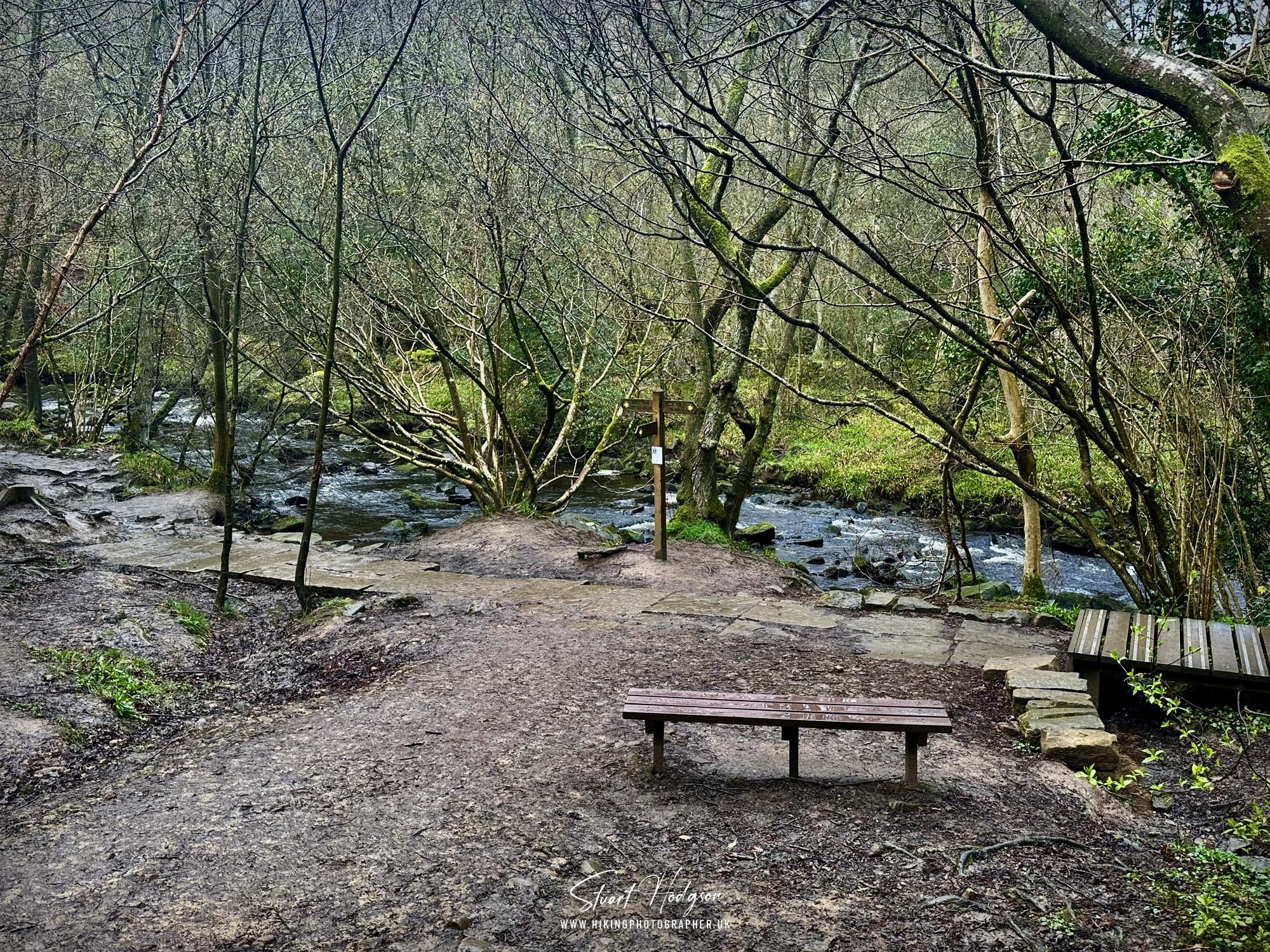 mallyan-spout-walk-route-goathland-yorkshire-walks-2