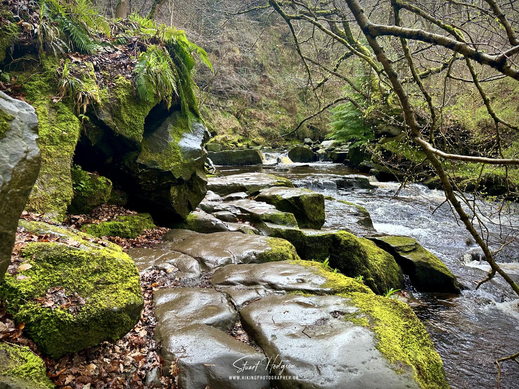 mallyan-spout-walk-west-beck