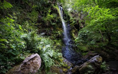 Mallyan Spout Waterfall Walk from Goathland via Beck Hole: A North York Moors classic circular