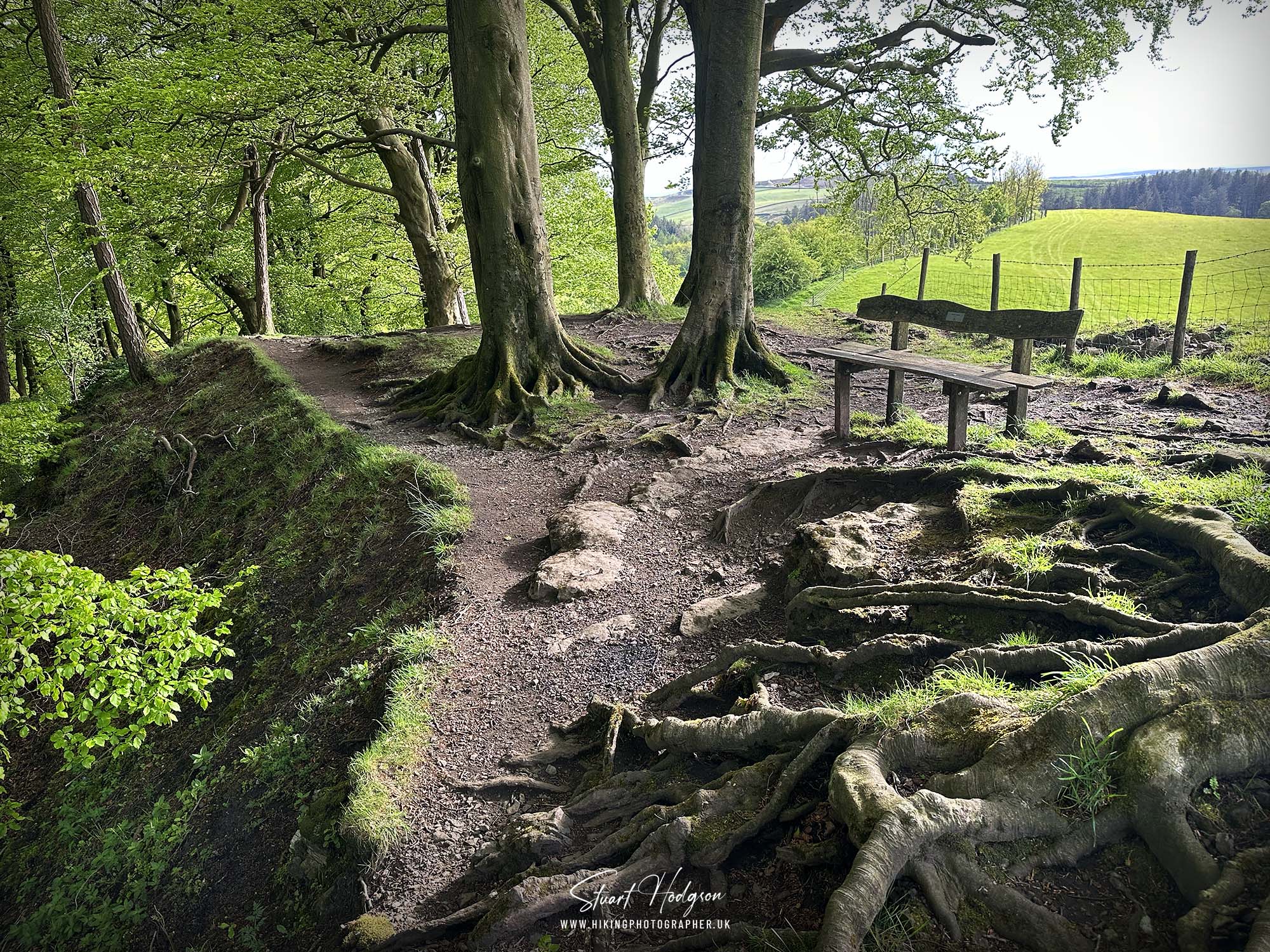 scaleber-force-waterfall-walk-yorkshire-dales-best-bench