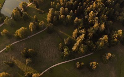 Access to Nature Matters: Why Every Person in the UK Deserves Access to Green Space