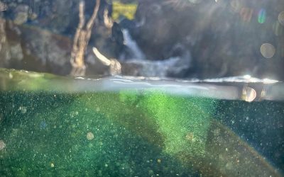 Our Minds Are Too Full – We Need To Reduce The Flow